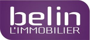 logo-partenaires-belinimmobilier-3Pconseils